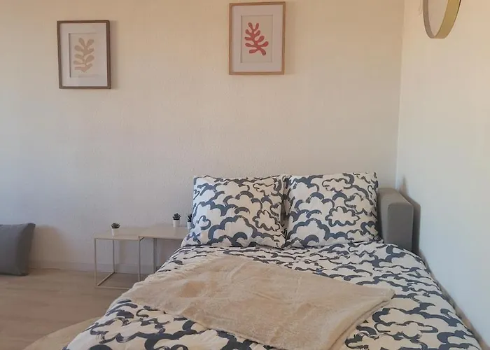 Le Traouquet In Port * Leucate